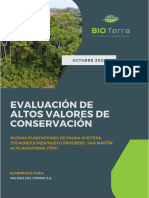 Evaluación de AVC Palmawasi NPP-4