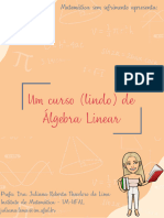 Notas Álgebra Linear Corrigidas