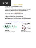 B2 - Tema 3 - Lipidos