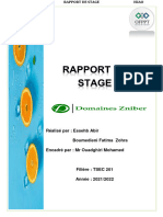 Rapport de Stage 2022 Abir Et Fati PDF Fin