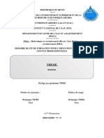 Plan Redaction Memoire Licence DGEA Draft