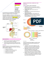 Sistema Digestiv1