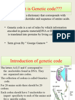 Genatic Codes