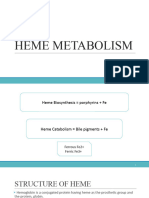 Heme Synthasis