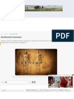 Anatomia Humana - Divisões e Principais Sistemas - Brasil Escola