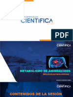 Ppt-Bioquimica Nutricional - Sem 11 - Sesion 11 - 2022-1