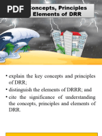 Key Concepts, Principles, and Elements of DRR