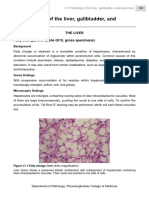 Pathology Lab Guidebook 2019 CH 17 Hepatobiliary System