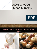 Bulb Crops & Root Crops & Beans & Peas