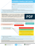 Algoritmo Encefalitis Equina Del Oeste