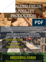 2.1 Specialized Field in Poultry Production