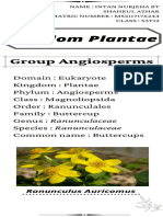 Kingdom Plantae-Group Angiosperm