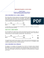 Multiplicación Del Apiario y Cría de Reinas