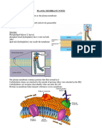 Notes Cell Membrane