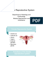 5.1 Female 2023 - JP