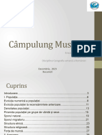 Proiect Geografia Umană A României Câmpulung Muscel