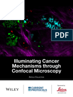 Article Collection Illuminating Cancer Mechanisms Through Confocal Micros