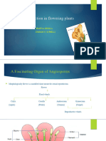 Sexual Reproduction in Flowering Plants