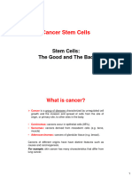 8 Cancer Stem Cells Basic Concepts and Therapeutic Implications