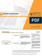 Pdf-Subvenciones Compress