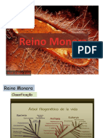 Reino Monera