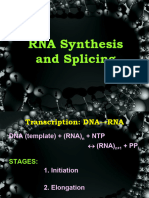 RNA Synthesis and Splicing