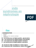 Les Grands Syndromes en Néphrologie Corrigé Fixe (Enregistrement Automatique)