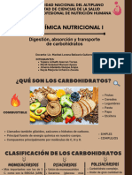 Digestión, Absorción y Transporte de Carbohidratos GRUPO 2