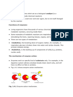 1.4 Enzymes