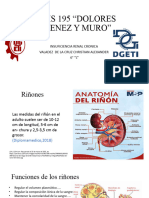 Insuficiencia Renal Cronica 3