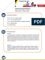 Derecho Procesal Penal II