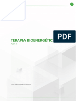 Aula 3 - Terapia Bioenergetica - Couraça Grounding e Outros