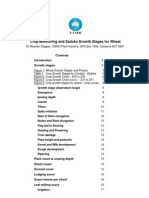 Crop Monitoring For Wheat