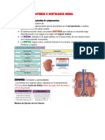 Anatomia e Histologia Renal