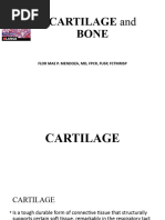 Bones and Cartilage