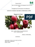 Rapport de Stage Pommier