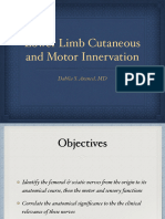 Lower Extremity Sensory and Motor Innervation