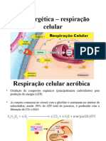 Bioenergética - Respiração Celular