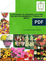 Cictamex Flores y Frutas