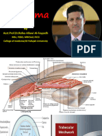 6 - Glaucoma