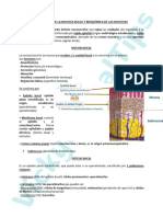 Histología de La Mucosa Bucal y Bioquímica de Las Mucosas