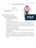 Fisiologia de Vasos Sanguineos Parte 1