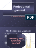 Periodontal Ligament-Summer