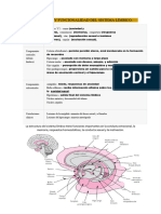 Limpio-ESTRUCTURA Y FUNCIONALIDAD DEL SISTEMA LÍMBICO
