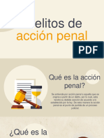 1.1 PPT Delitos de Acción Privada