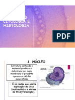 Citologia - Mitose e Meiose