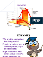 Enzyme