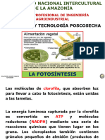 I-4 - La Fotosíntesis