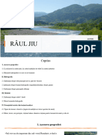 Râul Jiu: Specializare:Geografia Turismului