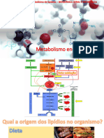 Metabolismo de Lipídios BGM M